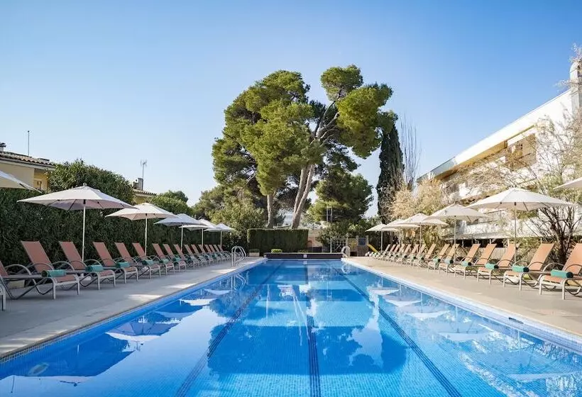 Ivory Playa Sports & Spa