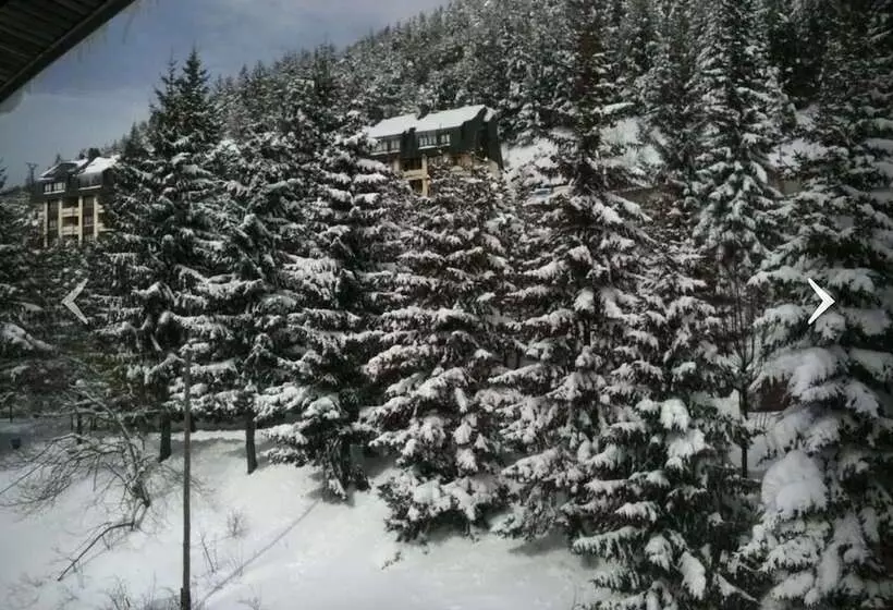 酒店 Edelweiss Candanchu