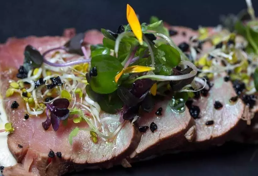 酒店 Los Habaneros