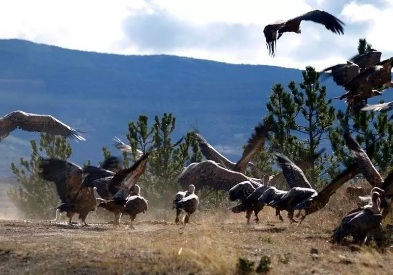 Hotel Marrodan Arnedillo