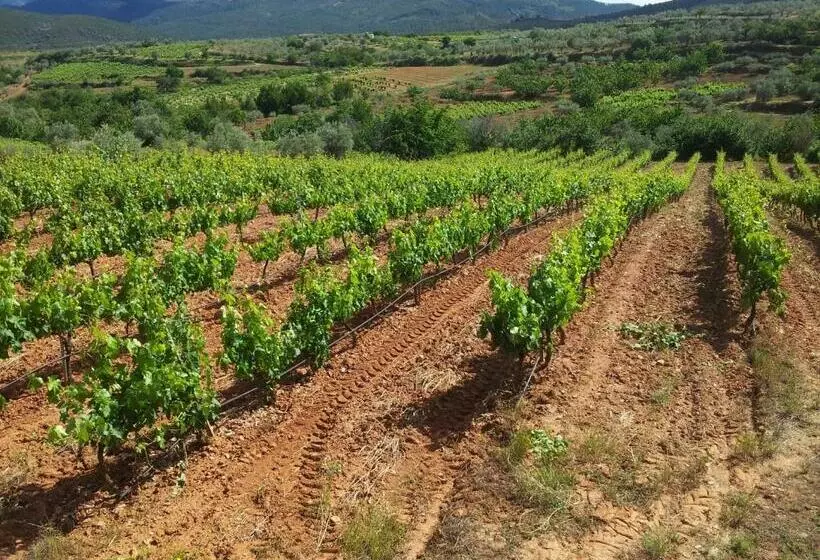 Apartamentos El Mirador Del Soto