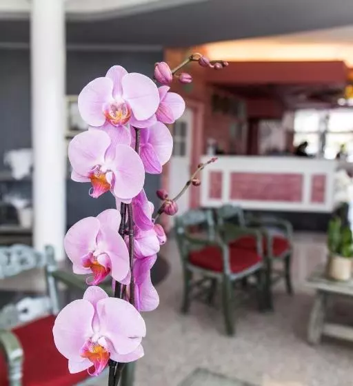 Adrián Hoteles Colón Guanahaní Adultos Only