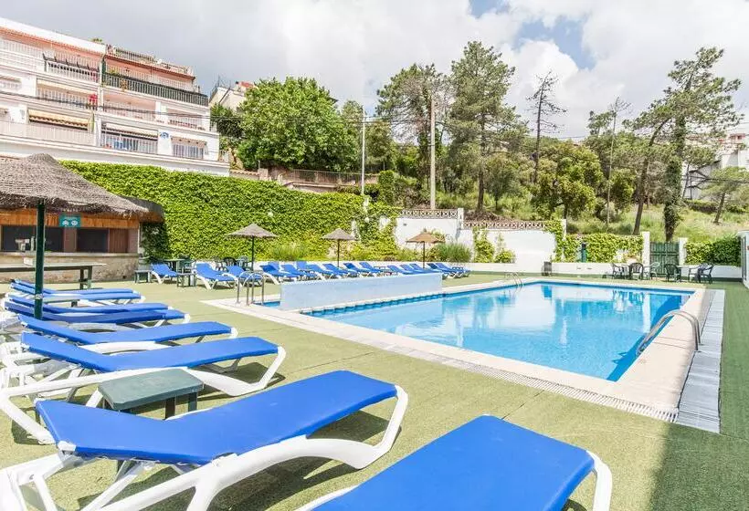 هتل Bluesea Montevista Hawai