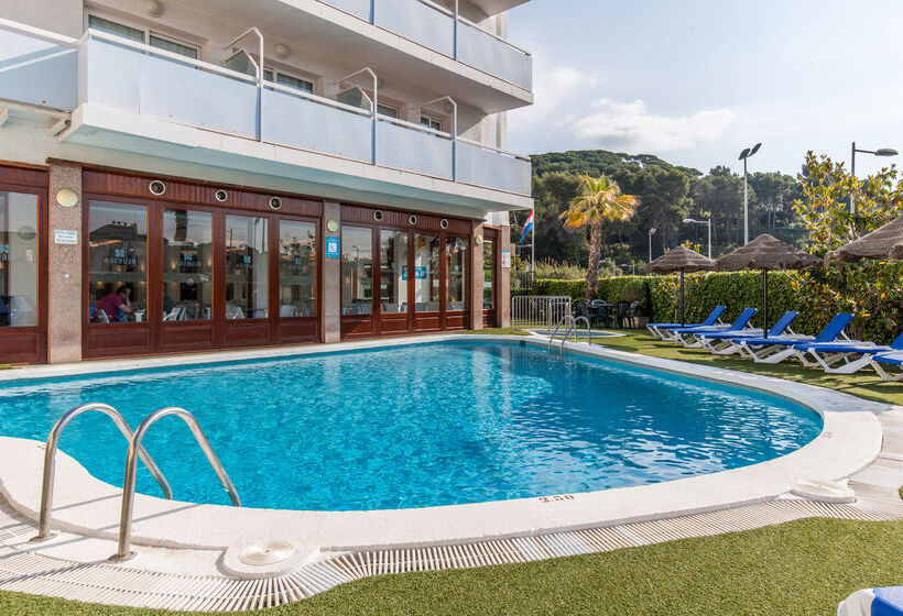 فندق Bluesea Montevista Hawai