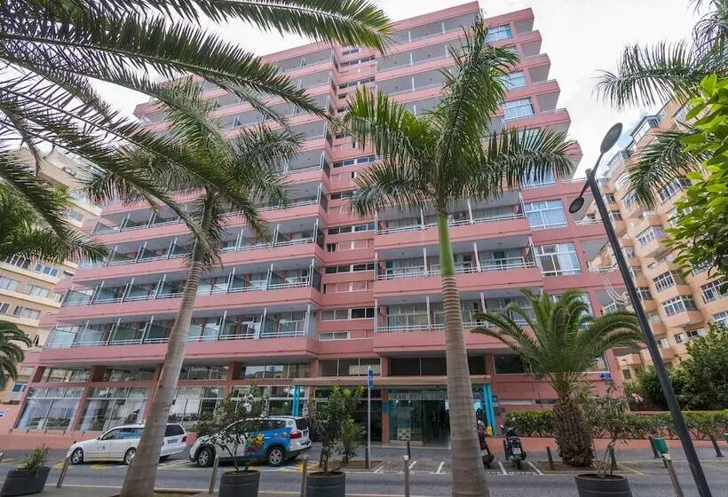 ホテル Checkin Concordia Playa