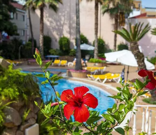 בית מלון כפרי Guitart Rosa  Adults Only