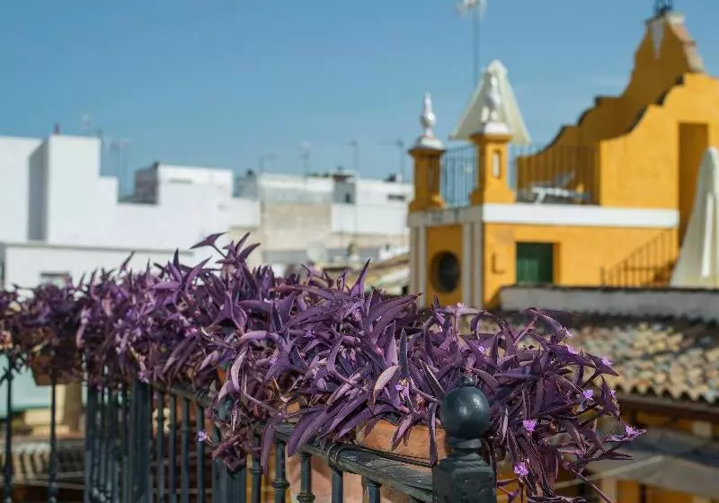 هتل Las Casas De La Judería