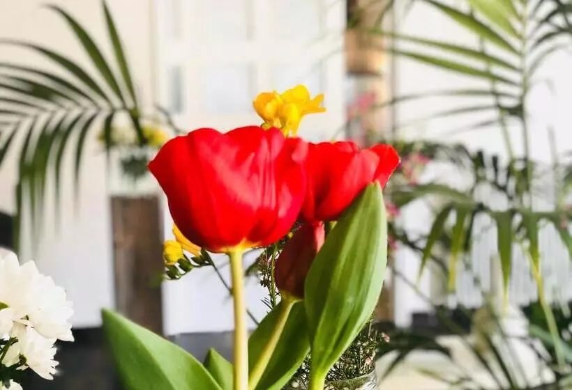 Hotelli & Restaurant Figueres Parc