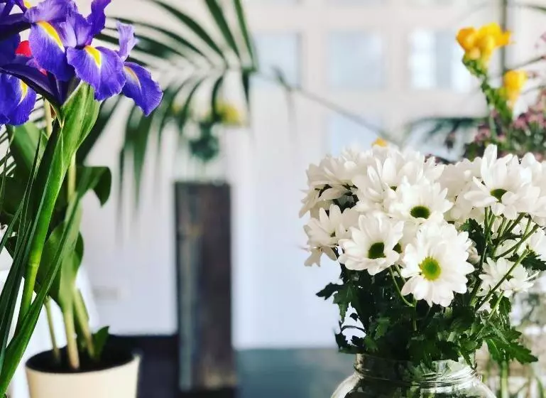 Hotelli & Restaurant Figueres Parc