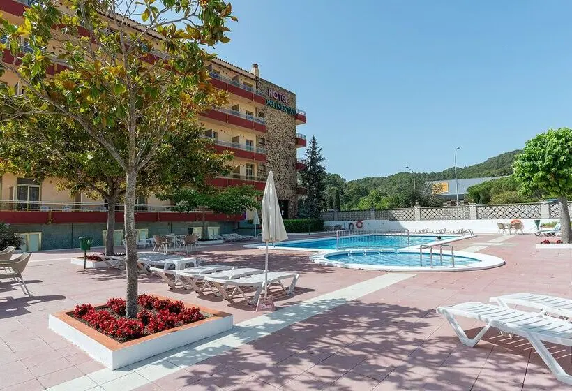 Hotel Bluesea Continental