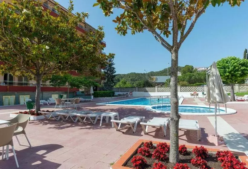 فندق Bluesea Continental