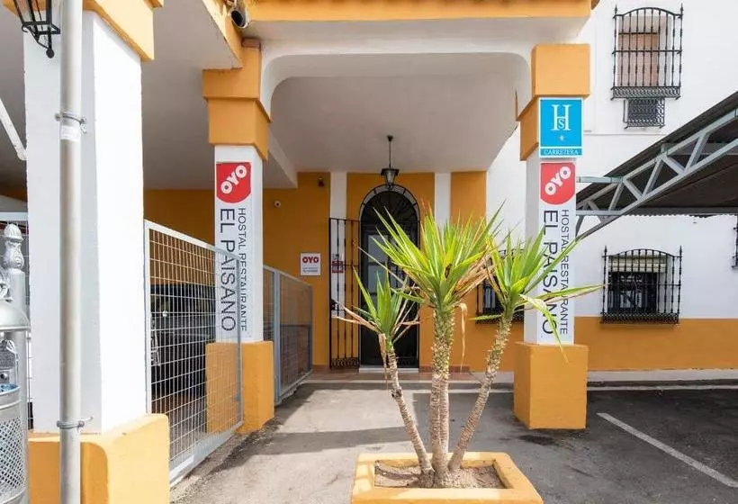 酒店 Hostal El Paisano by OYO Rooms