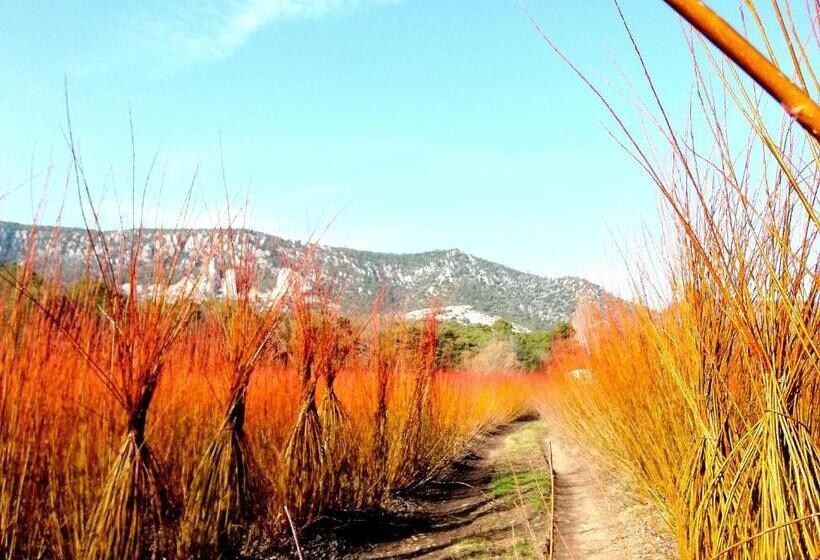 田舎風ホテル Río Escabas, Serranía De Cuenca