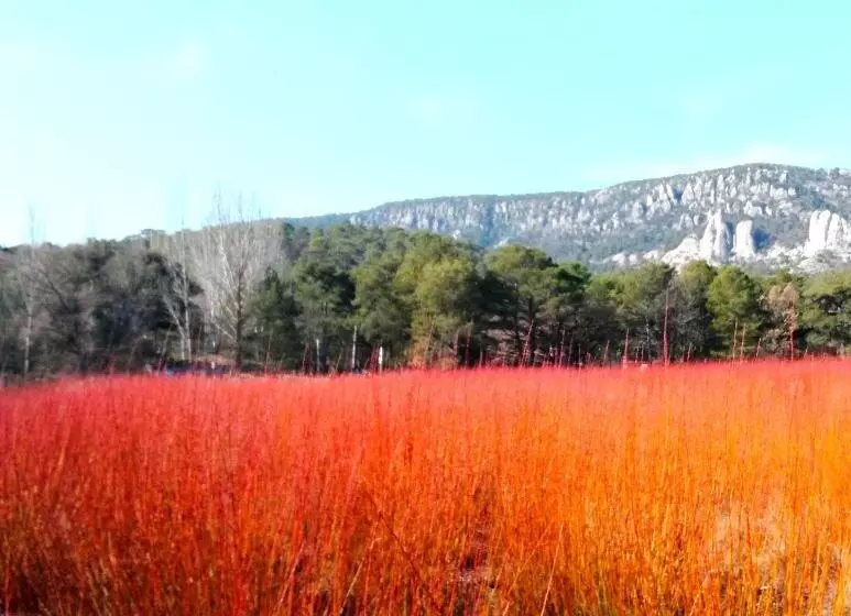 Сельский отель Río Escabas, Serranía De Cuenca