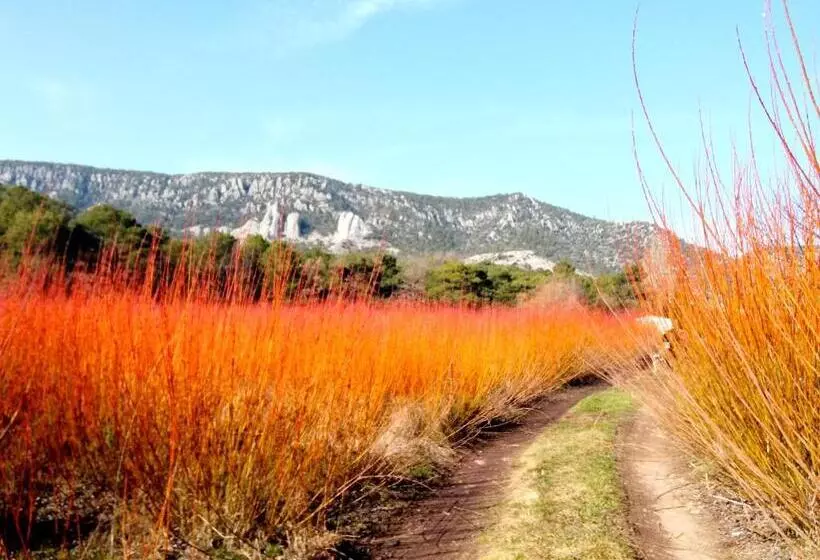 Сельский отель Río Escabas, Serranía De Cuenca