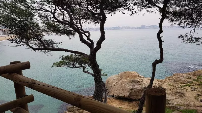 Hostal Residencia Catalina