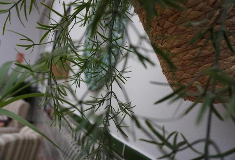 בית מלון כפרי Montserrat Casa Del Mar