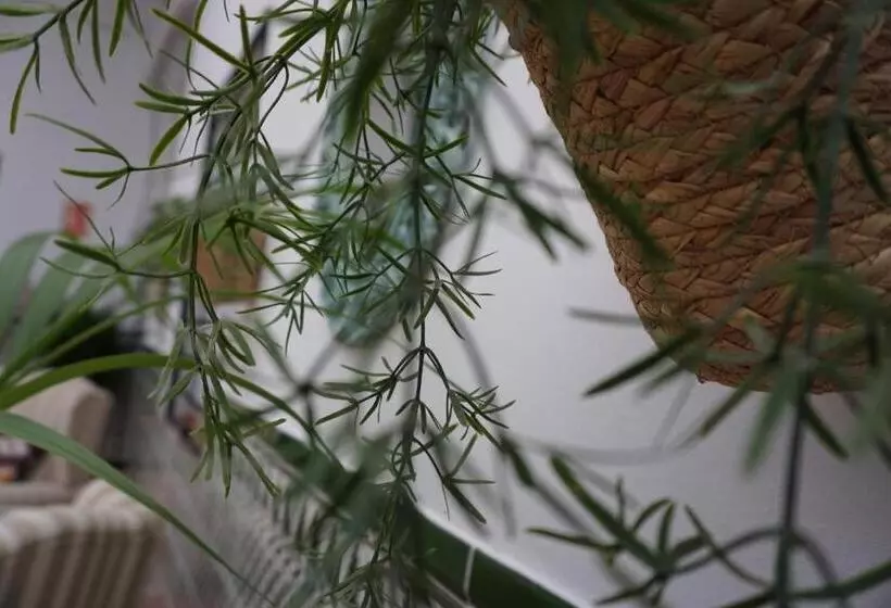 Отель Montserrat Casa Del Mar