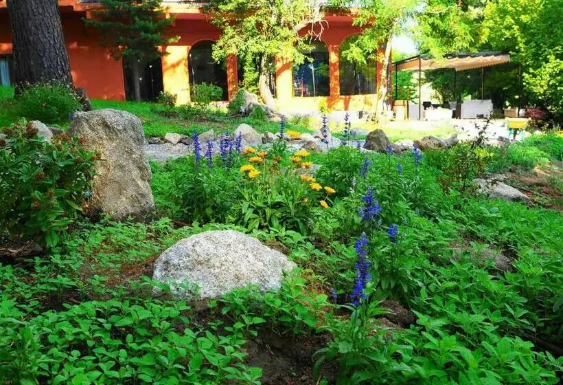 Hospedium Hostal Almanzor