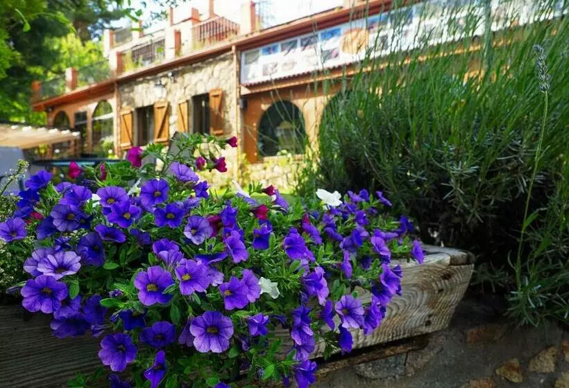 Hospedium Hostal Almanzor