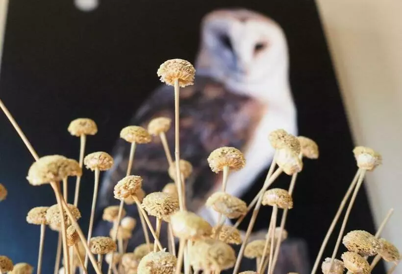 Hospedium Hostal Almanzor