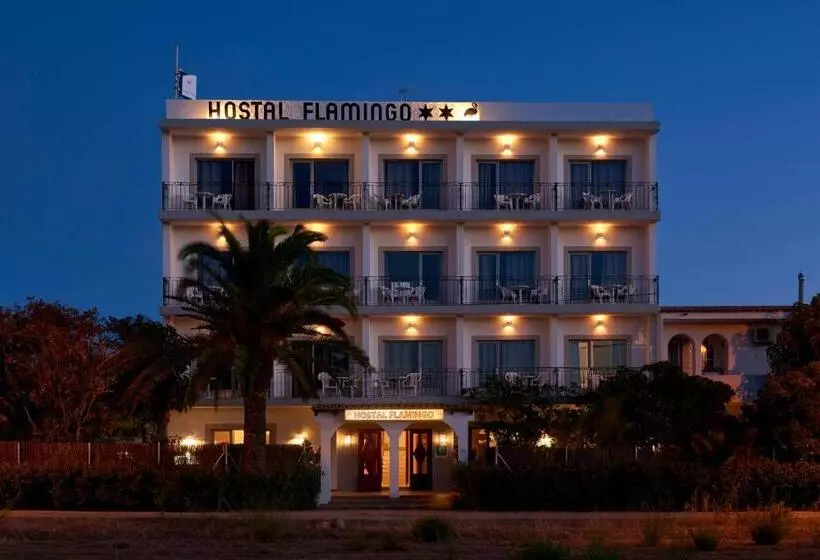 פונדק Flamingo