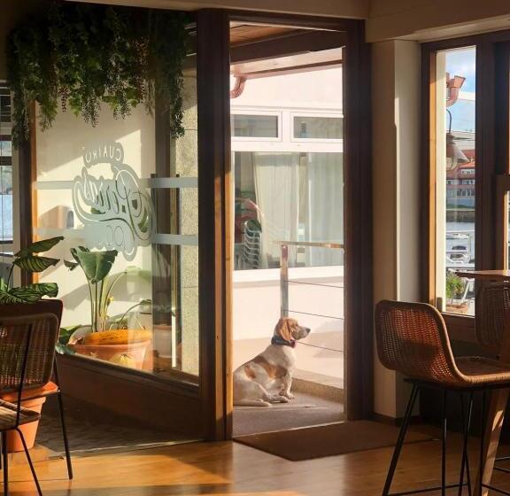 בית מלון כפרי As Hortensias