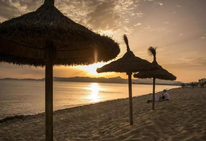 호텔 Coral Beach House & Food