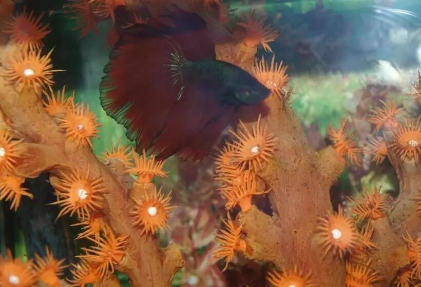 호텔 Francisco Javier