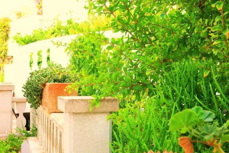 Отель Villa Columbus Family Boutique