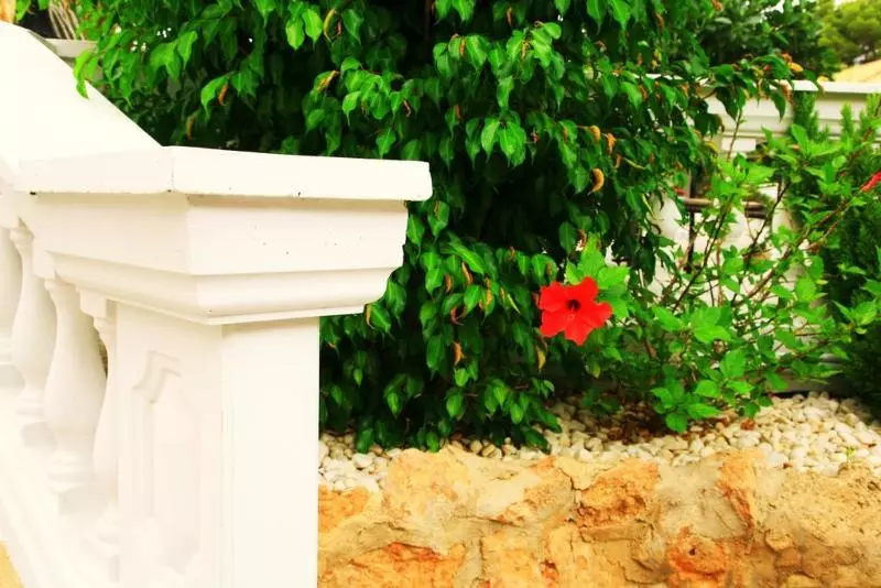 Отель Villa Columbus Family Boutique