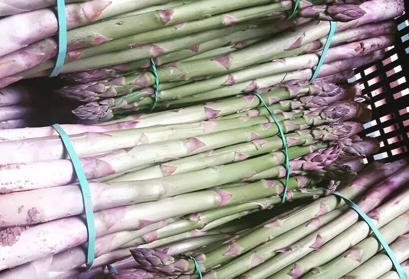 فندق فئة نجمة واحدة Miguel De Cervantes