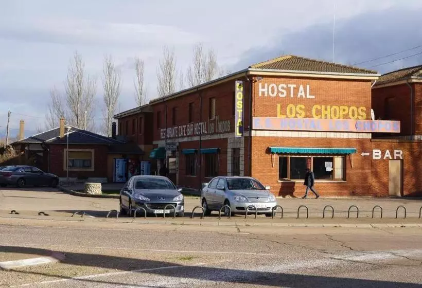 فندق Hostal Los Chopos