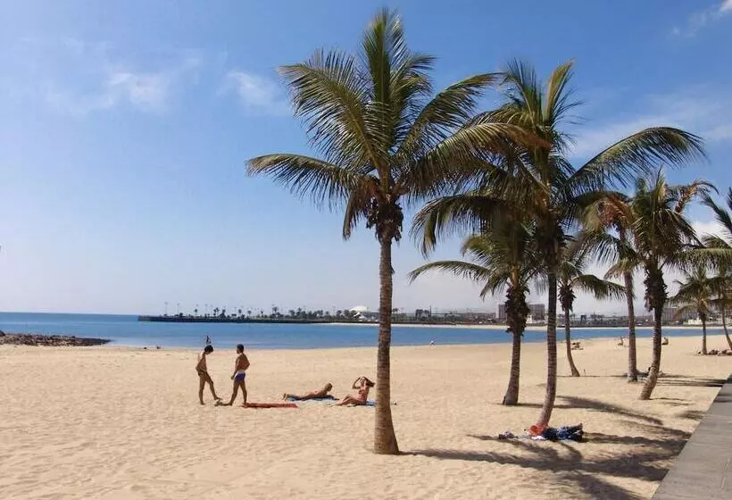 ペンション Hostal Residencia Cardona