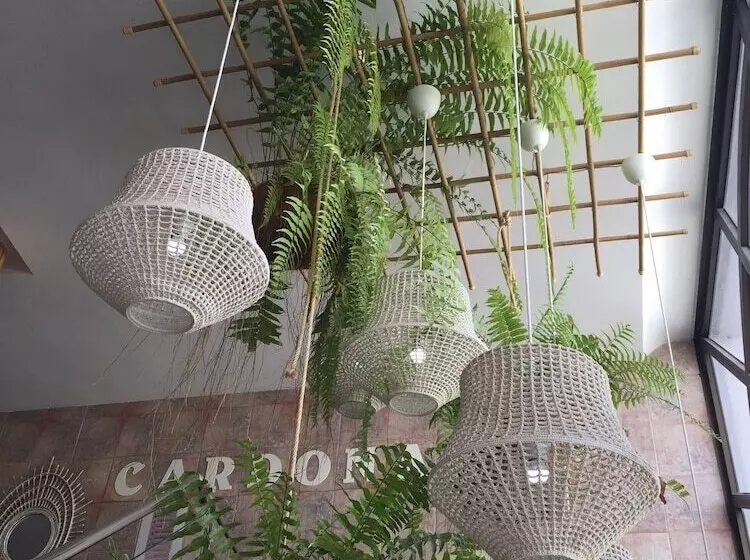 ペンション Hostal Residencia Cardona