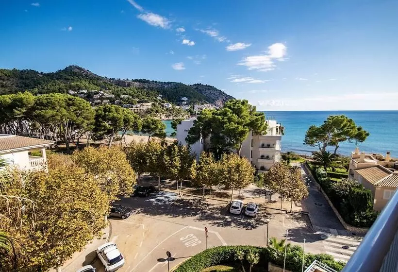 酒店 Canyamel Classic - Adults Only