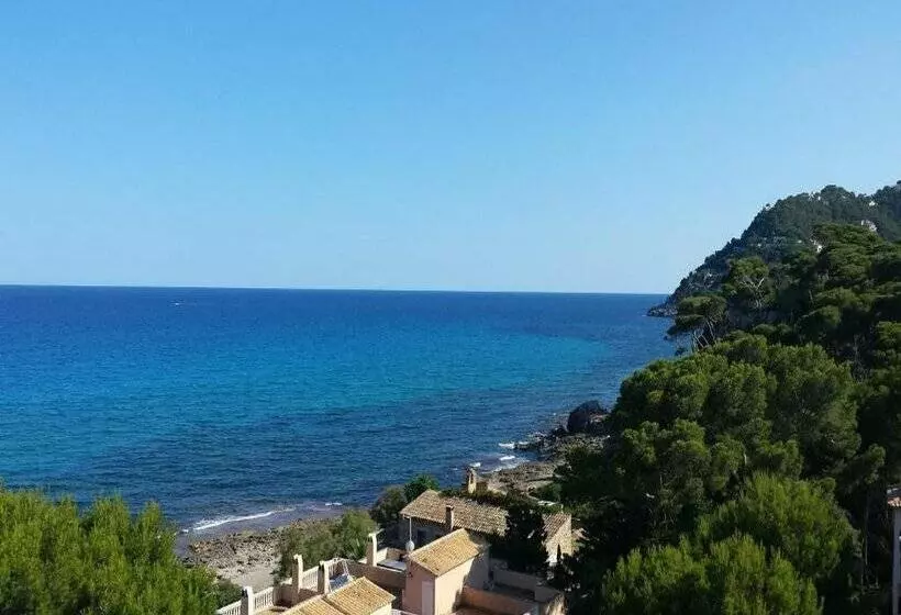 酒店 Canyamel Classic - Adults Only