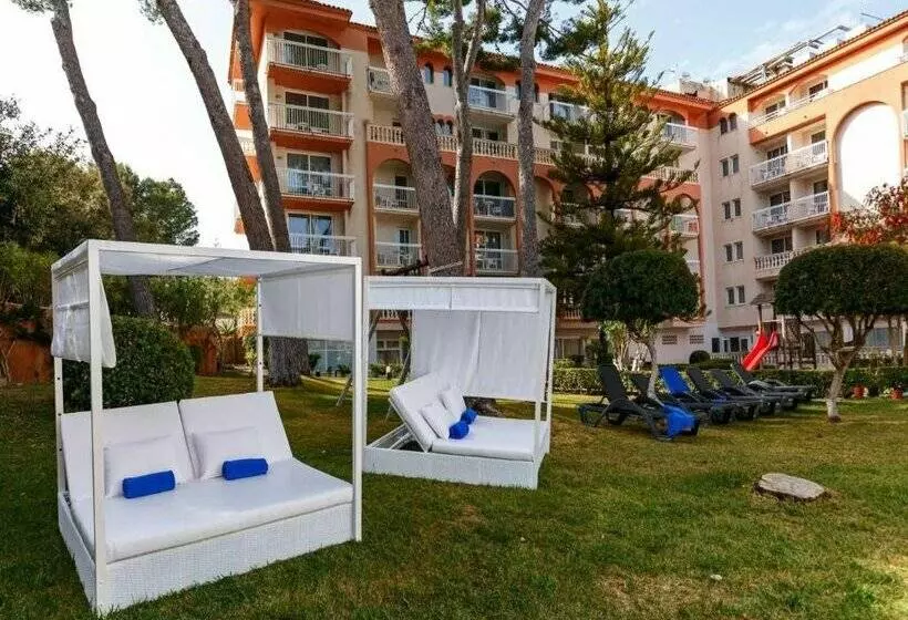 酒店 Canyamel Classic - Adults Only