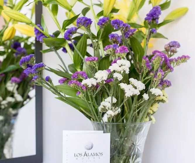 בית מלון כפרי Los Alamos