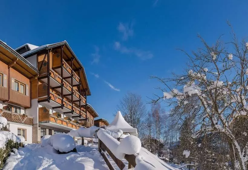 ホテル Ferienalm Panorama Apartments