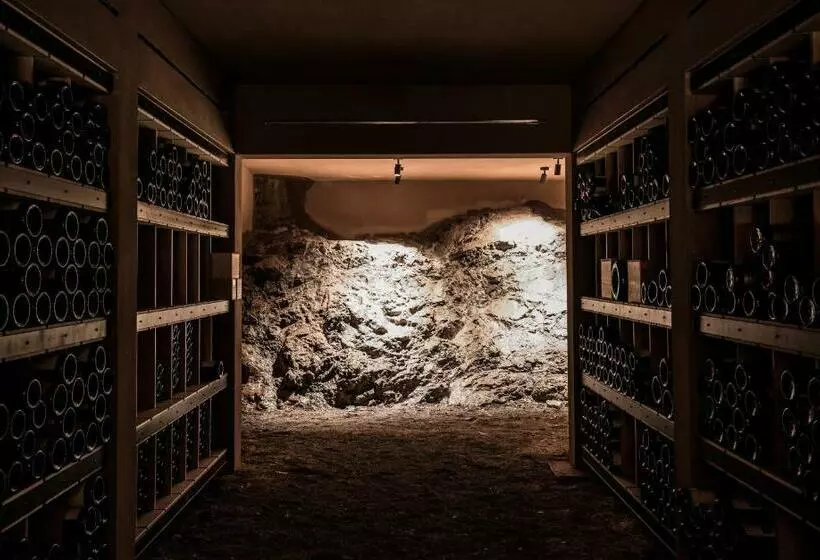 בית מלון כפרי Almhof Schneider