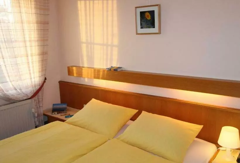 酒店 Pension Leiner