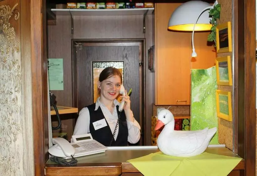 酒店 Pension Leiner