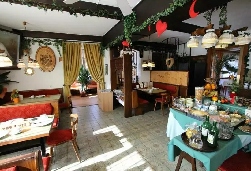 酒店 Pension Leiner