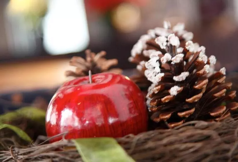 בית מלון כפרי Sandhof