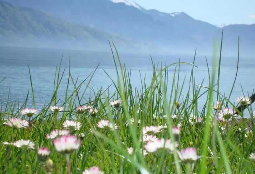 هتل Seegasthof Oberndorfer