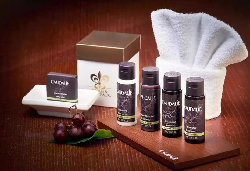 فندق Singer – Relais & Châteaux