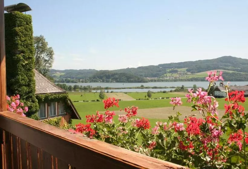 בית מלון כפרי Walkner