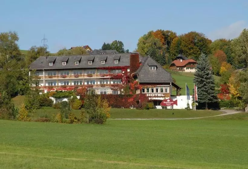 בית מלון כפרי Walkner