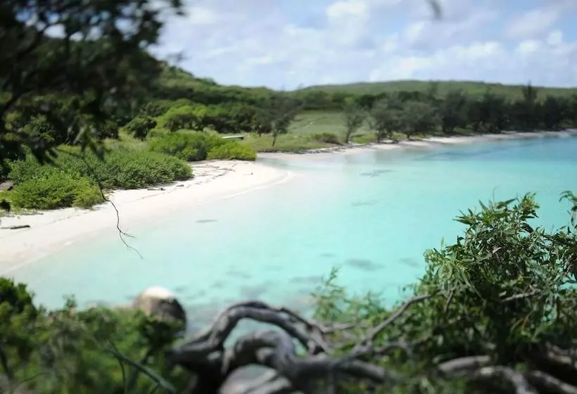 Otel Lizard Island Resort